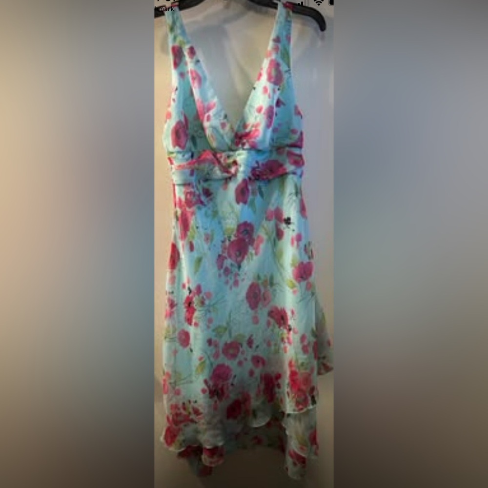Cute Women’s B. Smart floral Dress Size 11/12